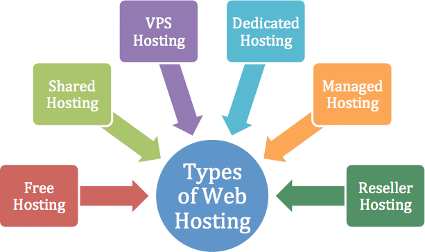 type of web hosting services